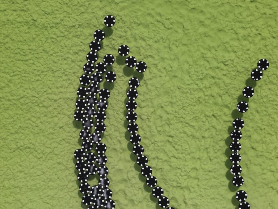 Black discs floating in green-colored brine.